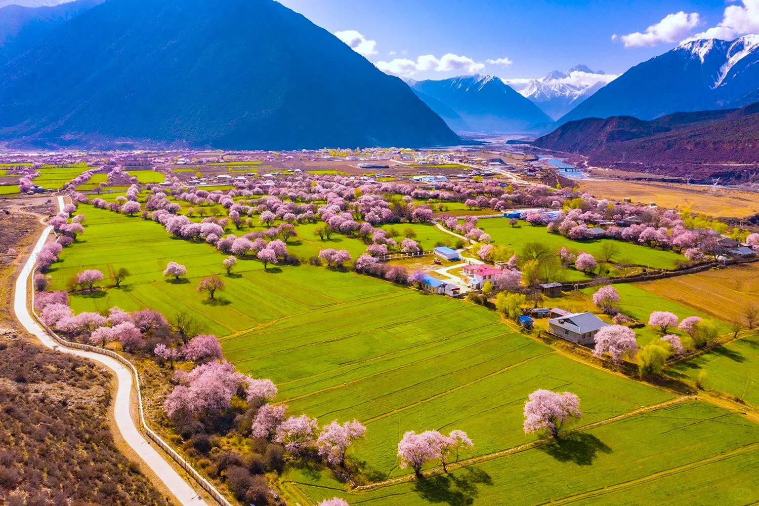 Tây Tạng – Lâm Chi – Lhasa – Shigatsa