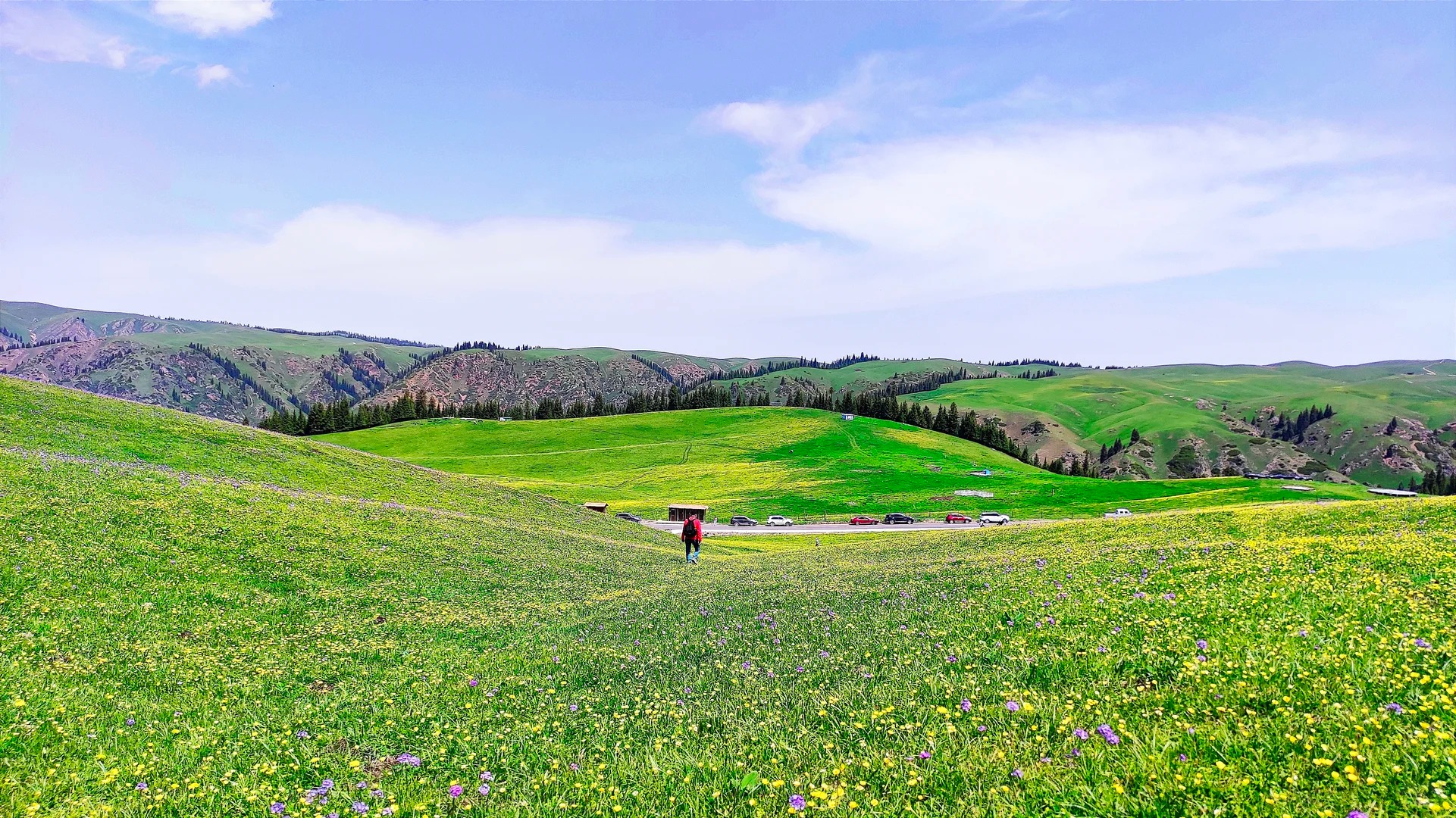 Bắc Tân Cương Noshop